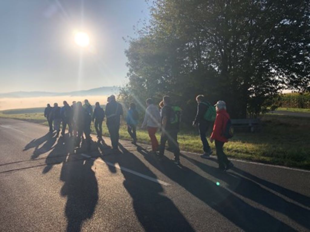Man sieht eine Pilgergruppe bei strahlendem Sonnenschein auf einem asphaltierten Feldweg