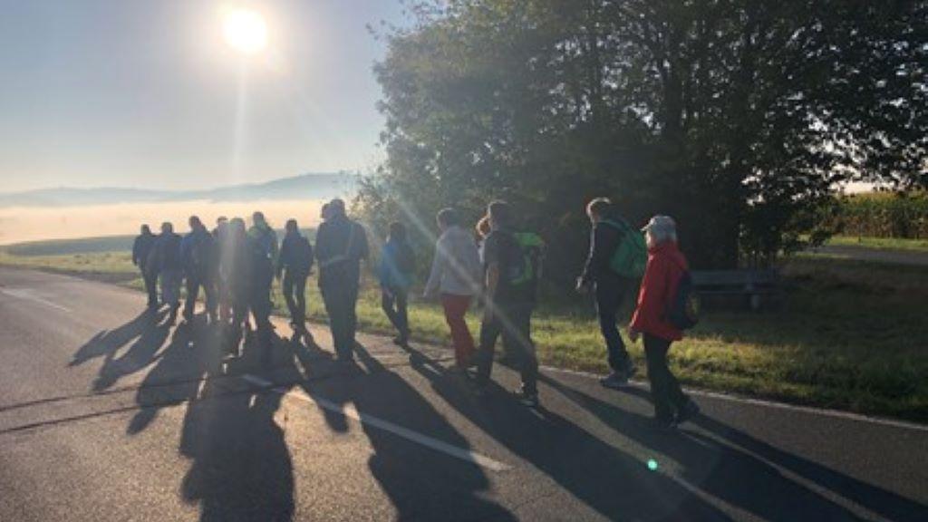 Man sieht eine Pilgergruppe bei strahlendem Sonnenschein auf einem asphaltierten Feldweg