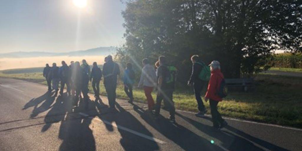 Man sieht eine Pilgergruppe bei strahlendem Sonnenschein auf einem asphaltierten Feldweg