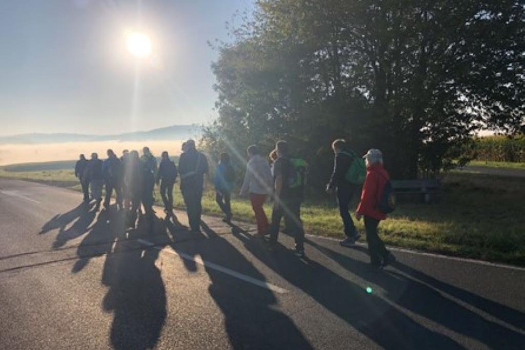 Man sieht eine Pilgergruppe bei strahlendem Sonnenschein auf einem asphaltierten Feldweg