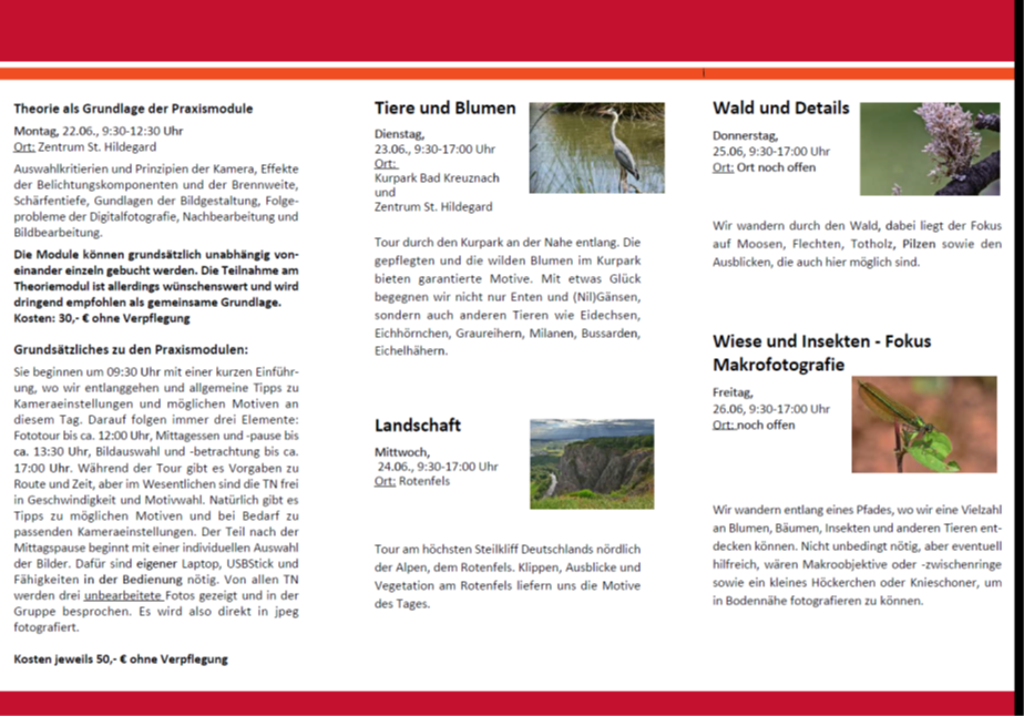 Man sieht Teil 2 zum Flyer Fotoreihe Naturfortografie - mit Anmeldungsmodalitäten (c) KEB Bistum Trier Man sieht Teil 2 zum Flyer Fotoreihe Naturfortografie - mit Anmeldungsmodalitäten