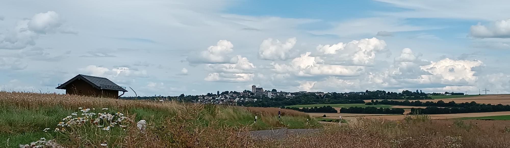 Blick von einem Feldweg vor Pillig aus über die reifen Ährenfelder nach Münstermaifeld, zu sehen ist das Westwerk der Kirche