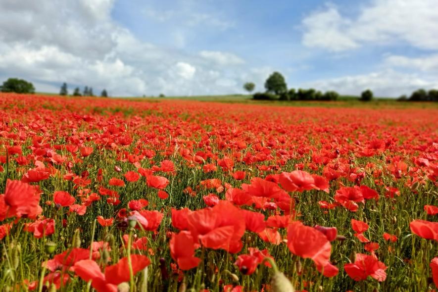 Start Pfarrei Maifeld