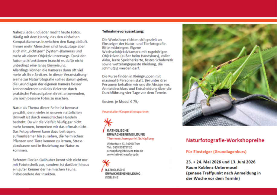 Man sieht die Einladung zum Kurs 'Naturfotografie' der KEB Trier im Raum KOblenzh