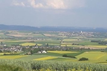 Das Bild zeigt einen weiten Blick über die Frühlingslandschaft mit gelb blühenden Rapsfeldern im Maifeld