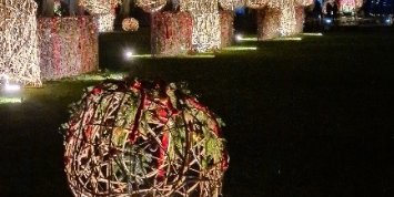 Man sieht einen beleuchteten Uferstreifen bei Dunkelheit, davor eine Rebenkugel, die mit bunten Lichtern geschmückt ist