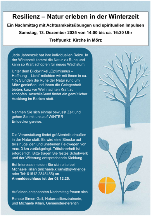 Man sieht die KI generierte Einladung zum Kurs Winter Resilienz am 13.12.2025 - auf blauem Grund